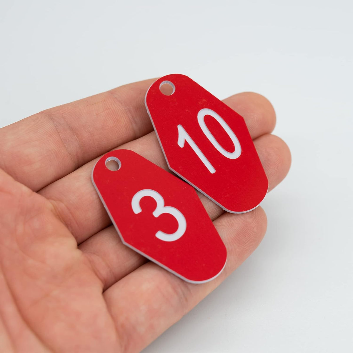 StayMax ABS Plastic Motel Hotel Room Number Tag (1-25, Red)