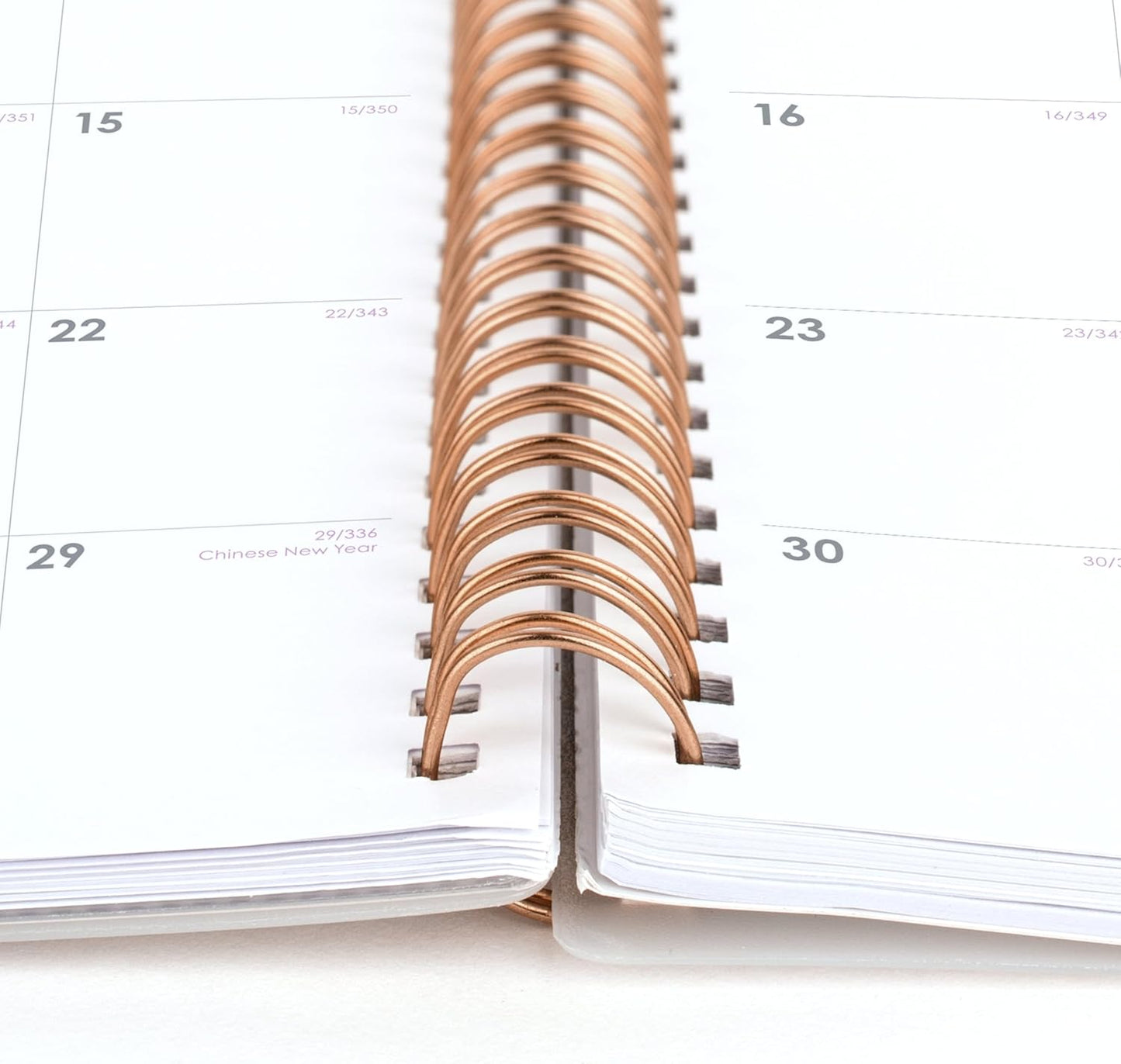 Cambridge 2025 Planner, Weekly & Monthly, 8-1/2" x 11", Large, Mina (1134-905-25)