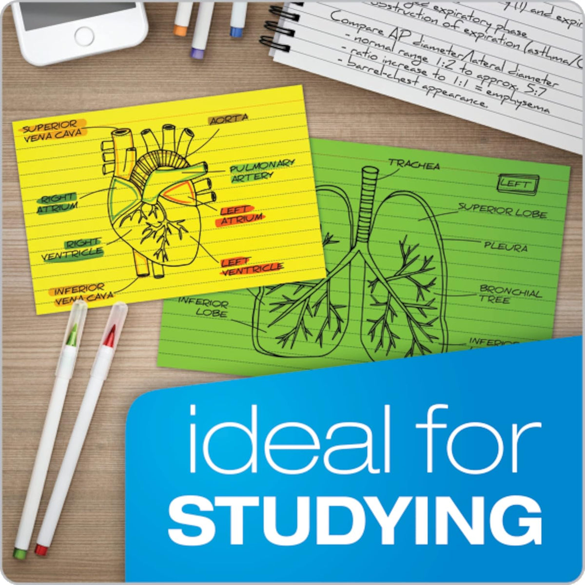 Oxford Neon Index Cards, 3" x 5", Ruled, Assorted Colors, 300 Per Pack (81300EE)