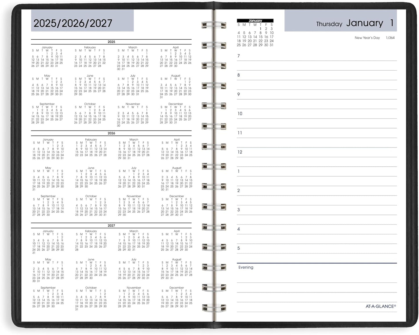 AT-A-GLANCE 2026 Appointment Book Planner, Daily, 5" x 8", Small, Hourly, DayMinder, Black (SK440026)
