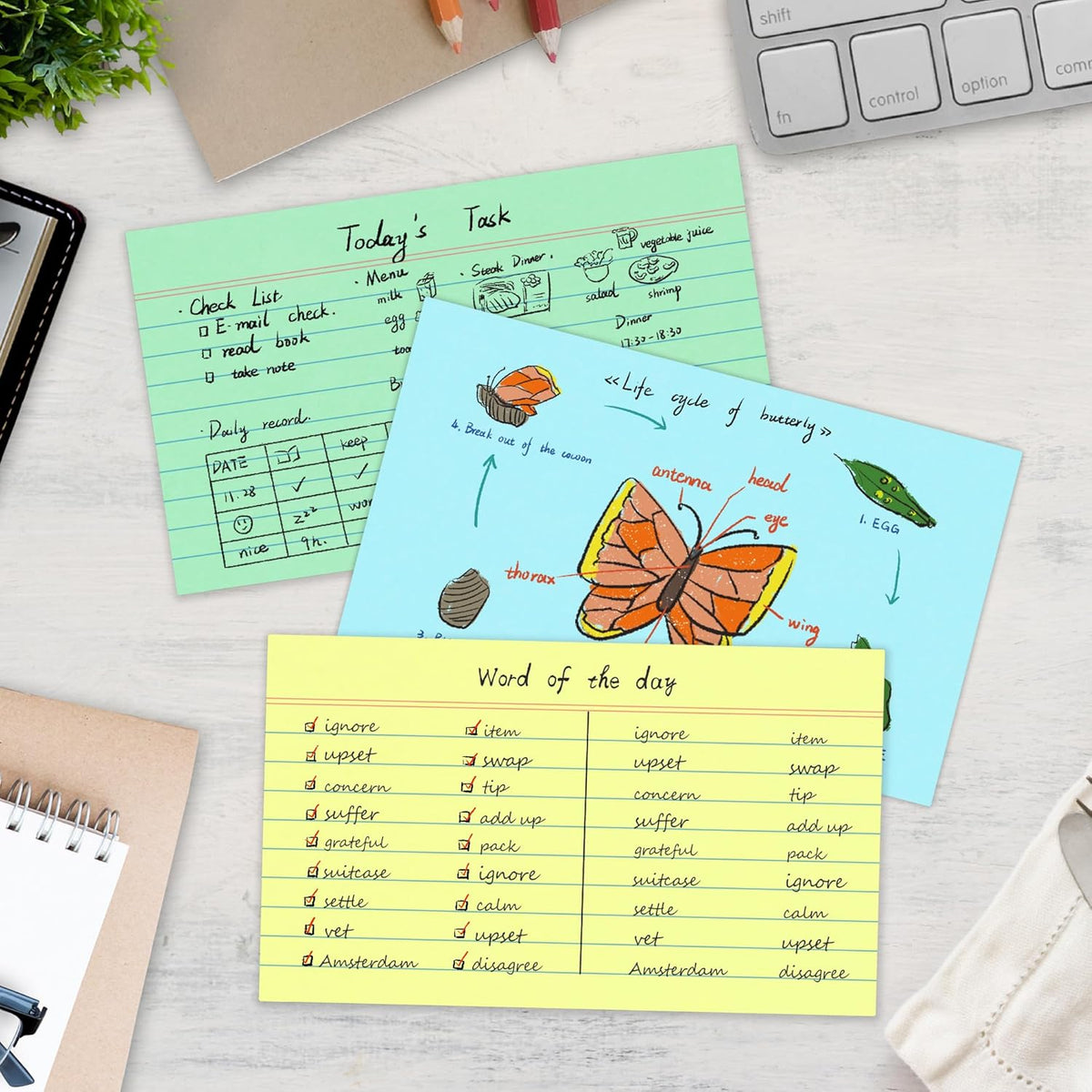 Chell 200 Count Index Cards 3x5 Inch Heavyweight, Ruled Front and Blank Back, 65 lb. Cover Weight, Pastel Colors