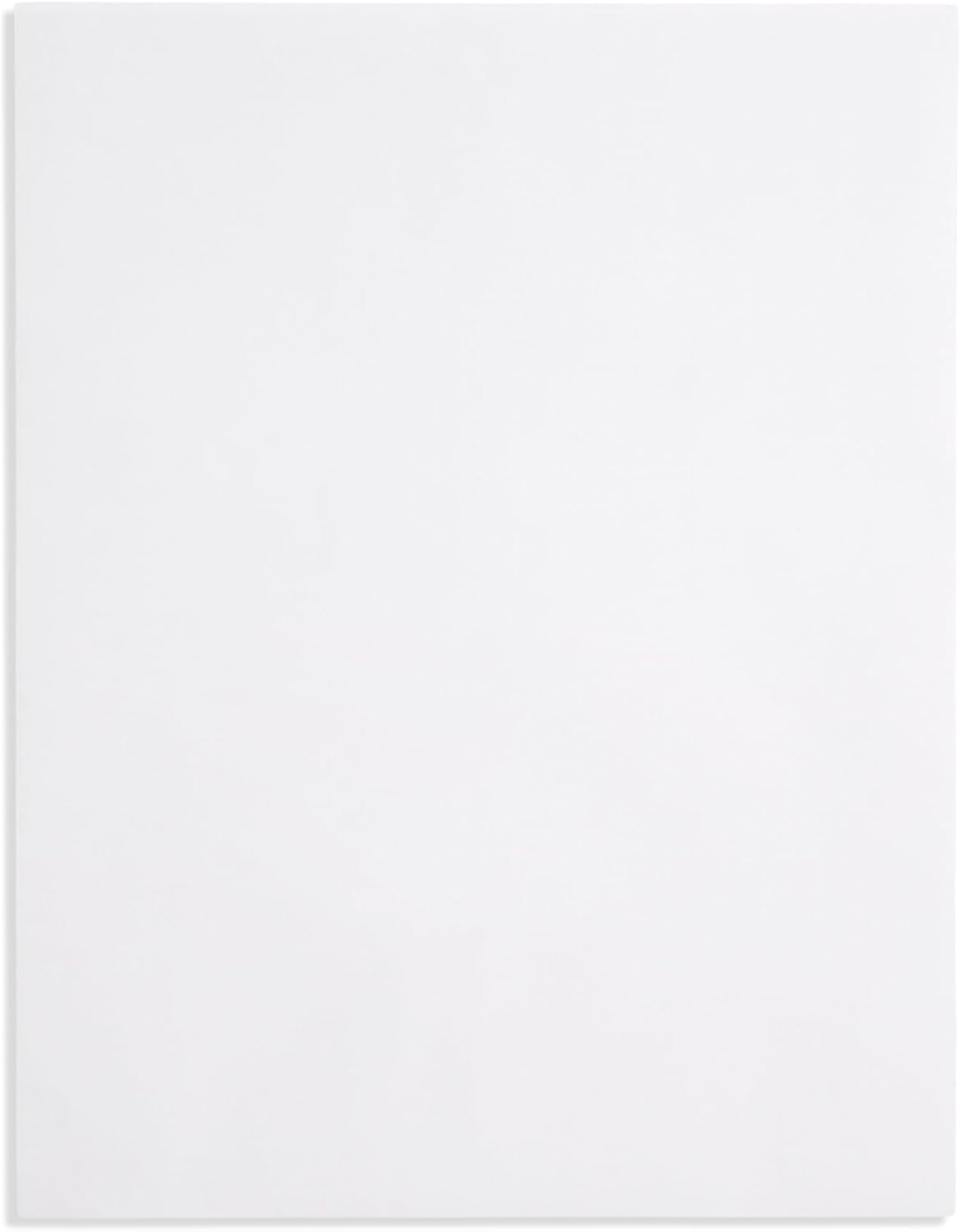 Blue Summit 11x14 Envelopes, 50 Large Envelopes 11 x 14, White for Big Documents 11.5 x 14.5, Security Tinted, Legal Size for Mailing Photos and Documents, Self Seal
