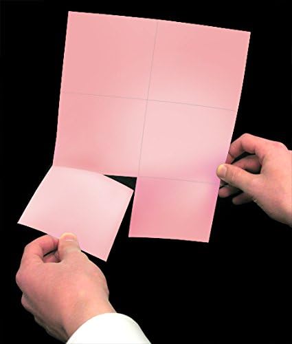 Laser Printer Blank Perforated Cards 6 Up per Page, Pink, 1200 Sheets (School, Wedding, Inventory, Trip Cards)