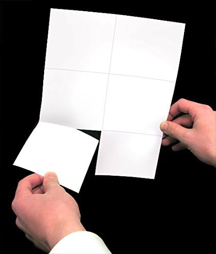 NextDayLabels - Laser Printer Blank Perforated Sheets 6 up per Page, for School Registration, Delivery, Inventory, Response, RSVP Cards, Trip Tickets, 1200 White Sheets