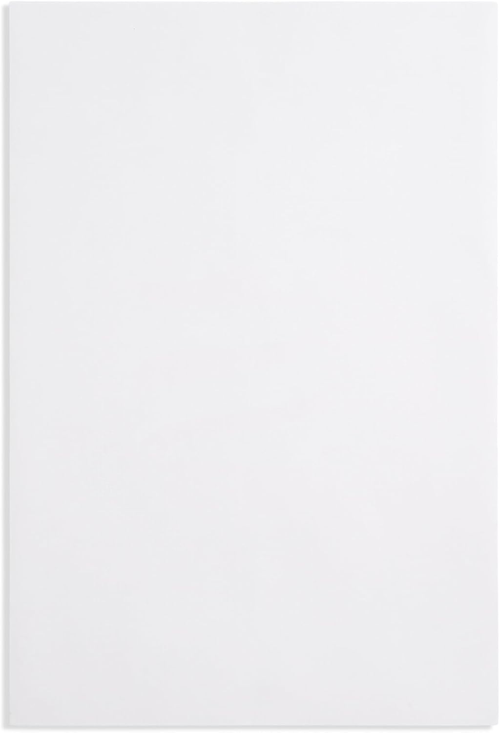 Blue Summit 50 10x15 Envelopes - 28lb - 10 x 15 Envelopes - Security Tinted, Design For Mailing Legal Size Paper, White Self Seal, 50 Pack