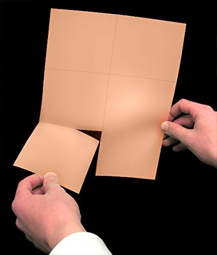 Laser Printer Blank Perforated Sheets 6 up per Page, for School Registration, Flower Delivery Cards, Inventory Tags, Wedding Response, Trip Tickets ETC. (Salmon, 1200 Sheets)