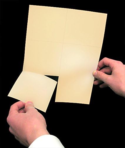 Laser Printer Blank Perforated Cards 6 up per Page, for School registration cards, Flower Delivery Cards, Inventory Tags, Wedding Response Cards, RSVP Cards, Trip Tickets, ETC, (200 Sheets Manila)