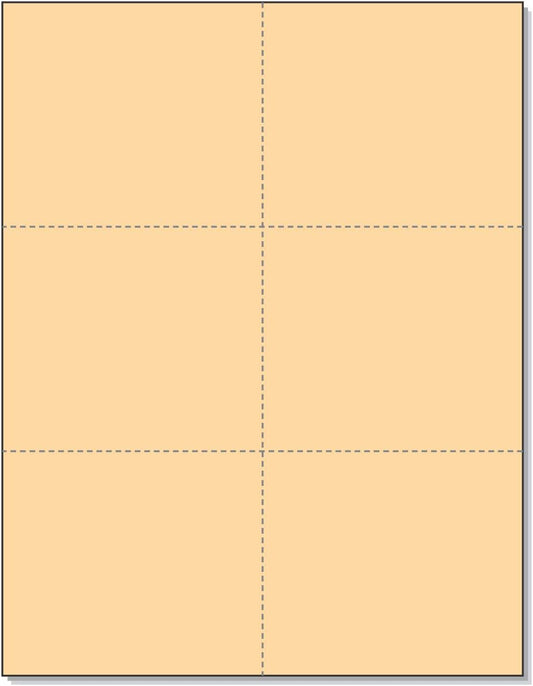 NextDayLabels - Blank Perforated Cards 6 up per Page, for School, Flower, Inventory, Wedding, Trip, etc. (Buff, 300 Cards)