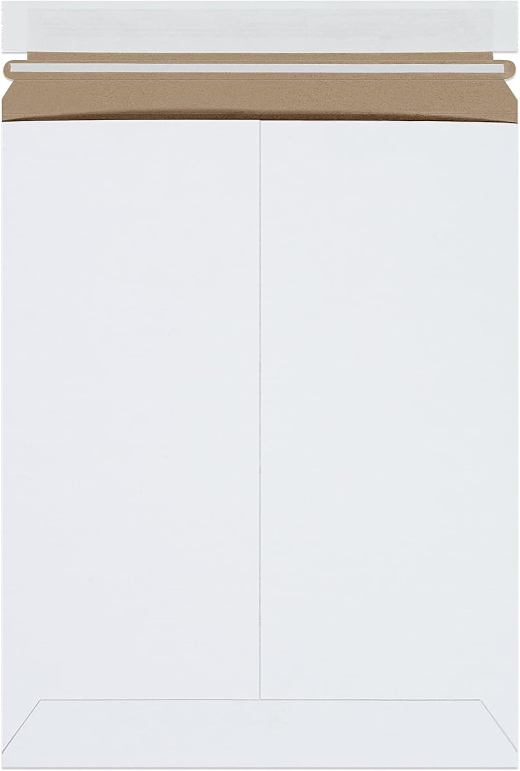 BOX USA StayFlat Mailer, 9.75"L x 12.25"W, Pack of 100 | Stayflats Envelope Keeping Photo, Document, Artwork Protected During Mailing and Shipping, 9.75x12.25