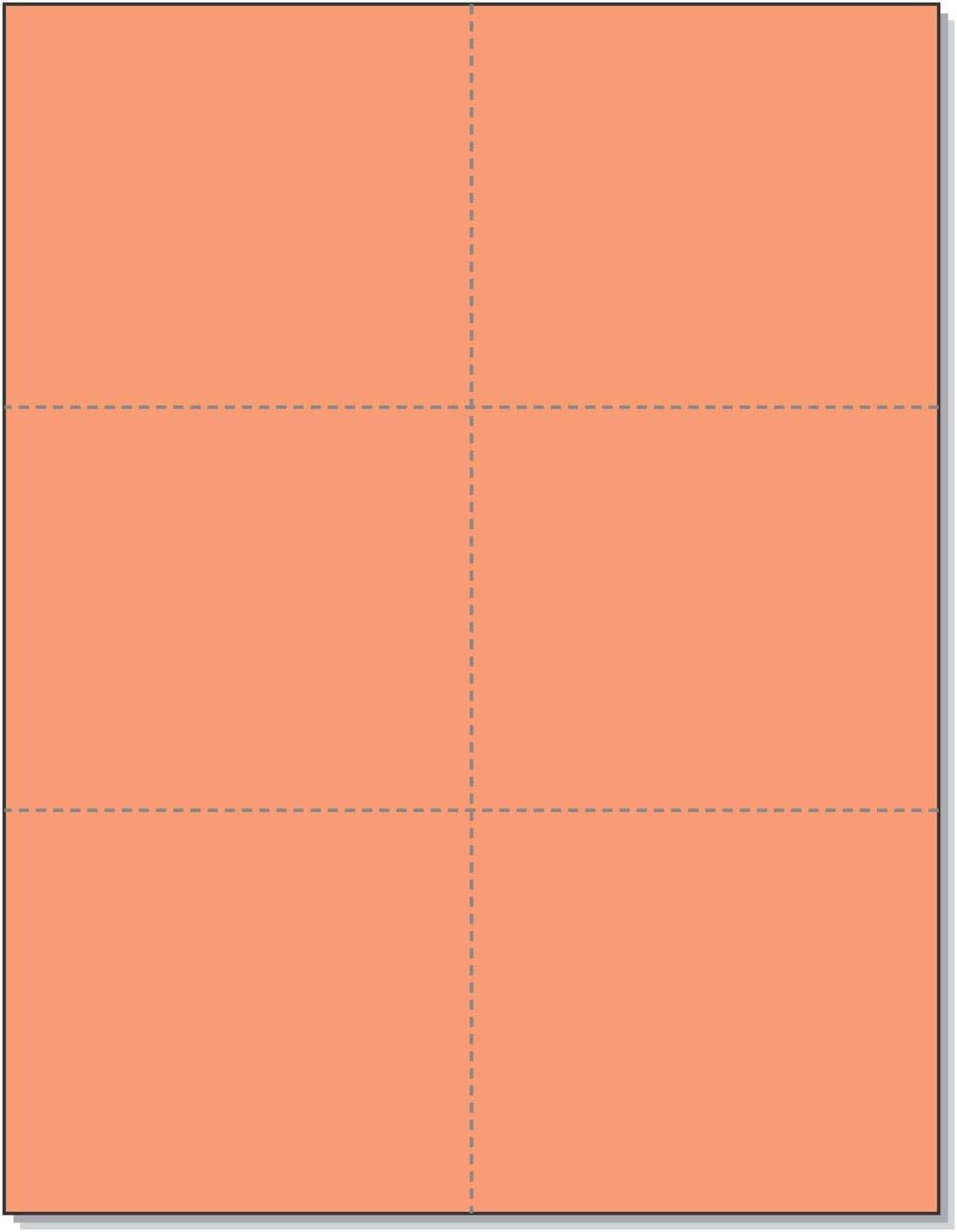 Laser Printer Blank Perforated Sheets 6 up per Page, for School Registration, Flower Delivery Cards, Inventory Tags, Wedding Response, Trip Tickets ETC. (Salmon, 1200 Sheets)