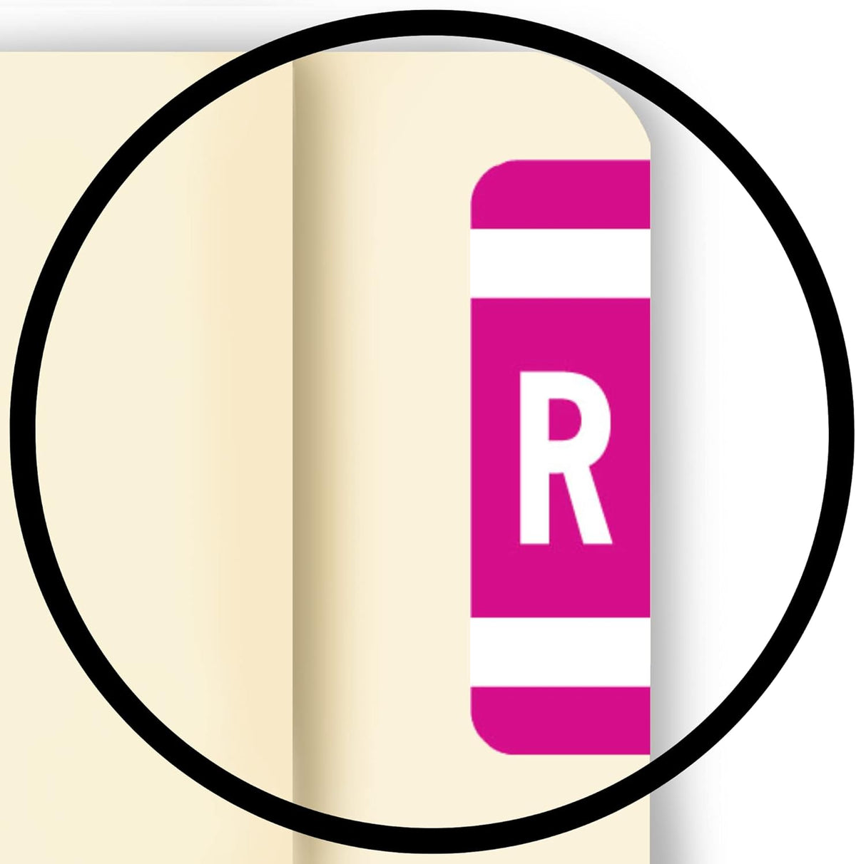 Doctor Stuff - File Folder Labels, Alphabet Letter R, Compatible with Smead Alpha Z Acc/ACCS - SMSM Series Alpha Stickers Purple, 1-5/8" x 1”, 250/Roll
