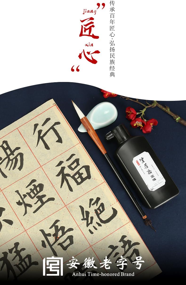 Sumi Ink, Chinese Calligraphy Ink, Liquid Black Carbon Ink, Manga Ink (500ml (17oz), Black)