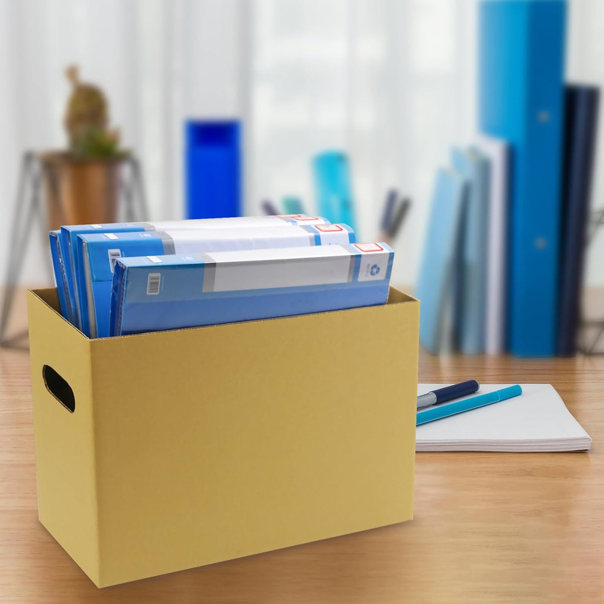 Lineco Archival Record Storage Cartons, Ready-To-Assemble Filing Boxes for Organizing and Storing Documents, Prints, or Photos. Acid-Free, Buffered Corrugated Board, 6x15 x10in, Tan, Pack of 5