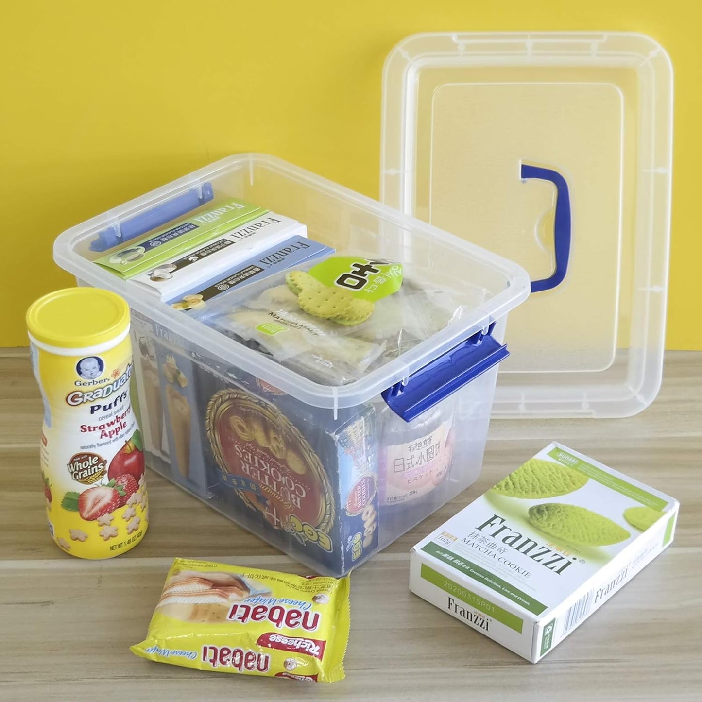 Morcte 10 L Plastic Lidded Storage Bin, Clear Storage Box, Pack of 6