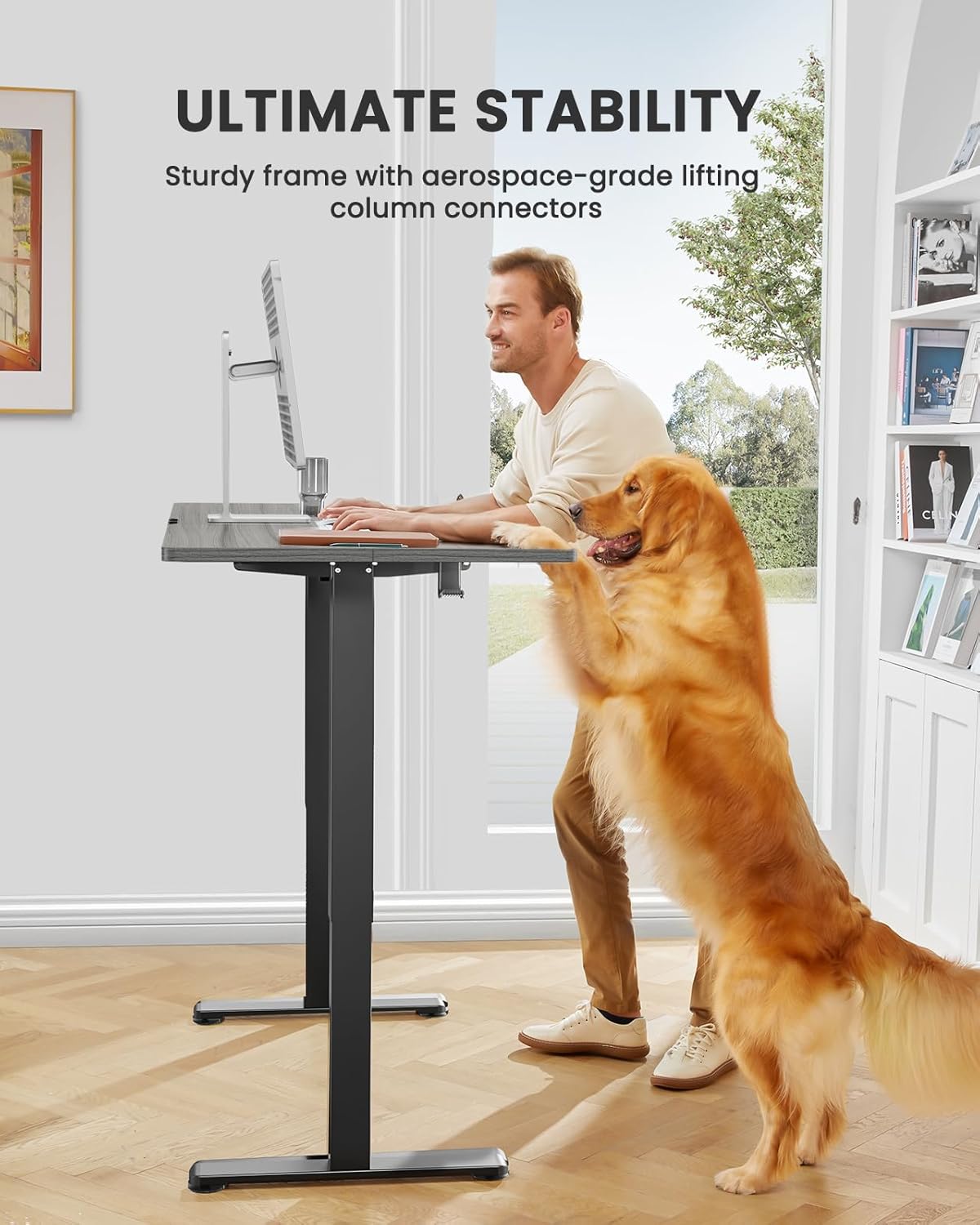 ErGear Electric Standing Desk, 44 x 24 Inches Height Adjustable Stand up Desk, Sit Stand Home Office Desk, with Two-Piece Desktop (Grey)