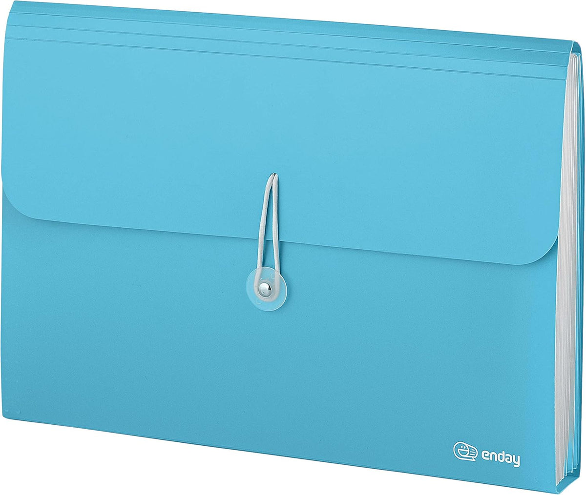 Accordion File Organizer 13 Pocket Expanding File Folder with Labels, Accordion File Organizer Letter Size Letter A4 Paper for Receipts, Bills and Documents 13" x 9.5” –by Enday
