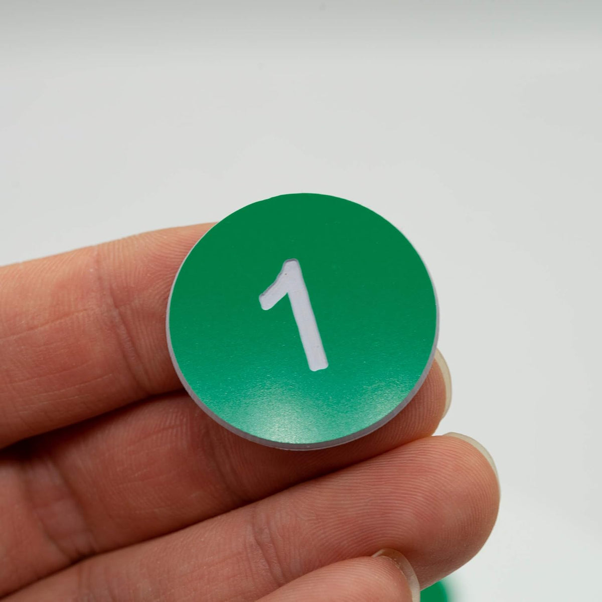 StayMax Plastic Number Tags Engraved Numbered Tags Without Hole (1-50, Green)