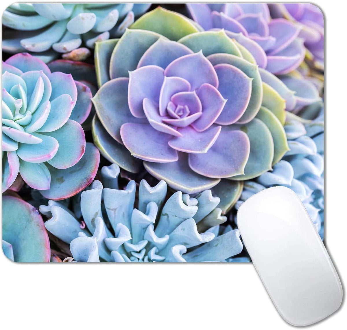 Succulents Mouse Mat, Waterproof Mouse Pad Non-Slip Rubber Base For Office Laptop, 9.5"x7.9"x0.12" Inch