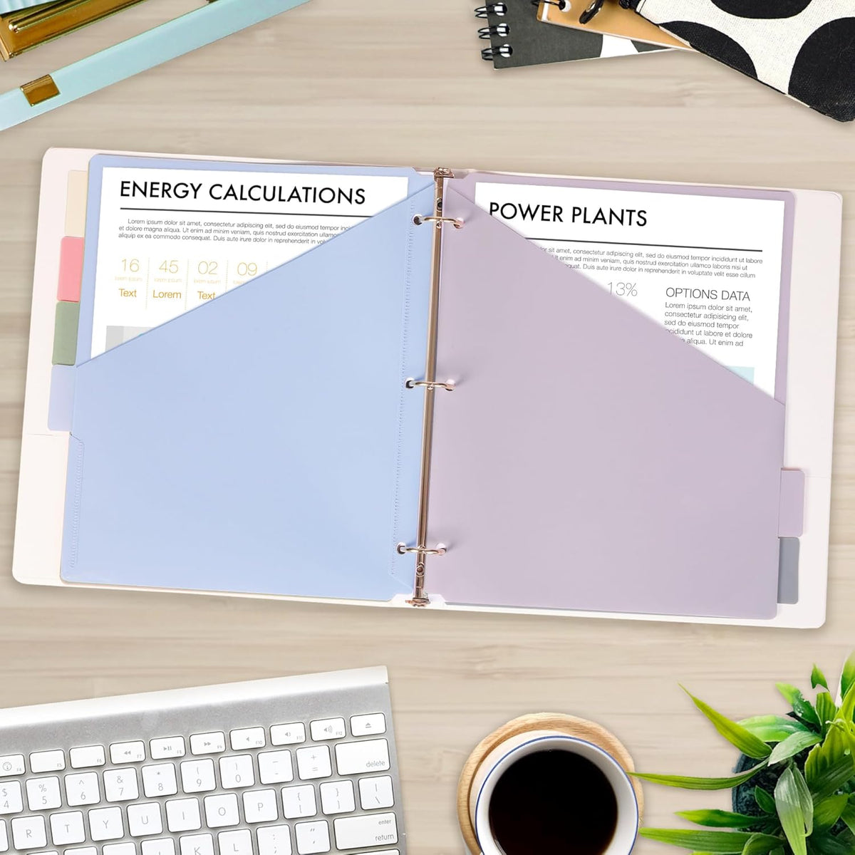 H4D 6-Tab Dividers for 3 Ring Binder, Plastic Dividers with Two Pockets, Letter Size, Morandi Colors, 1 Set