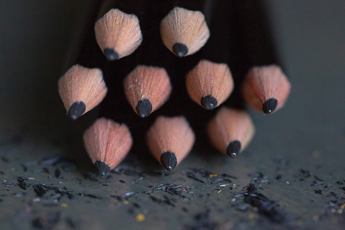 Ticonderoga Wood-Cased Pencils, Unsharpened, 2 HB Soft, Black, 12 Count (Pack of 2)