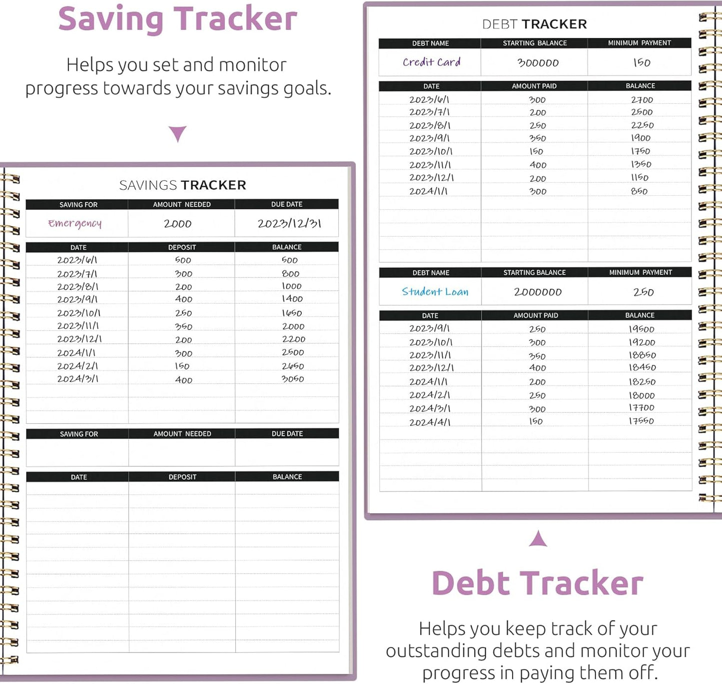 Aesthetic Budget Planner - Monthly Finance Planner with Expense Tracker, Undated Bill Organizer, Budget Notebook to Manage Your Finances, Account Budget Book with Colorful Pattern - Checkered