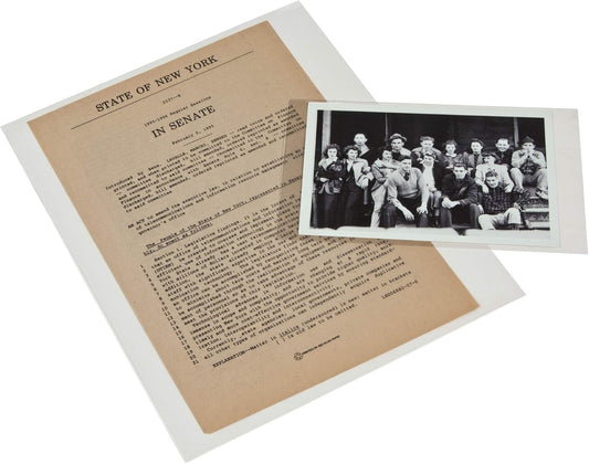 Gaylord Archival 3 mil Archival Polyester L-Sleeves for Photos & Documents (10-Pack) - 8 1/2 x 14"