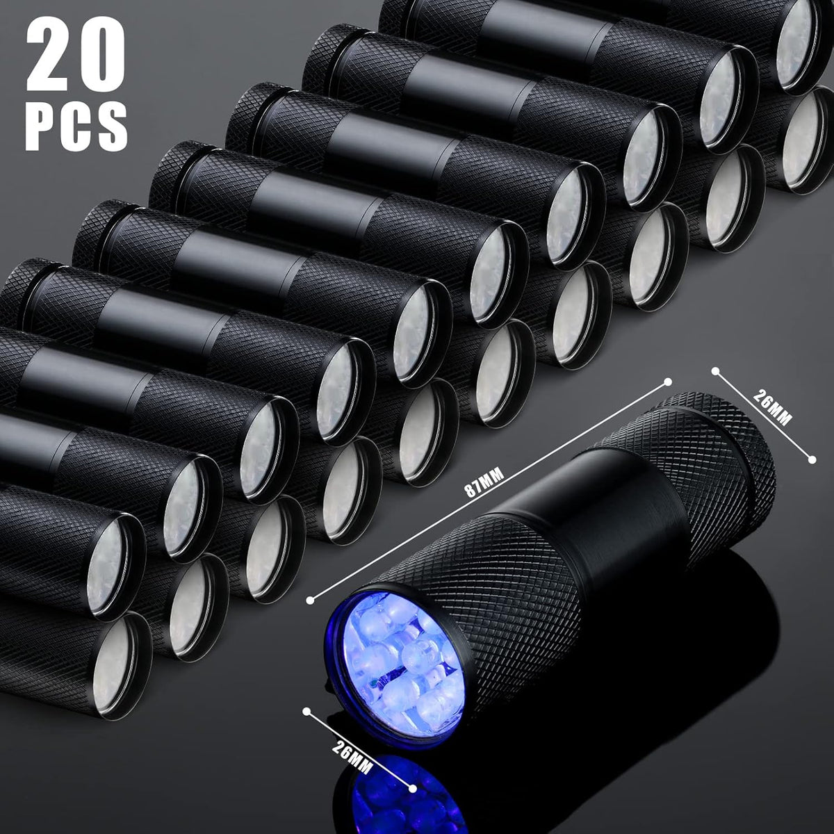 Hortsun Blacklight Flashlights Small UV Lights 395nm LED Portable Ultraviolet Light Detector Mini Flashlight Torch for Halloween Ghost Haunted House Dog Cat Pets Urine Stains Bed Bugs(20 Pcs)