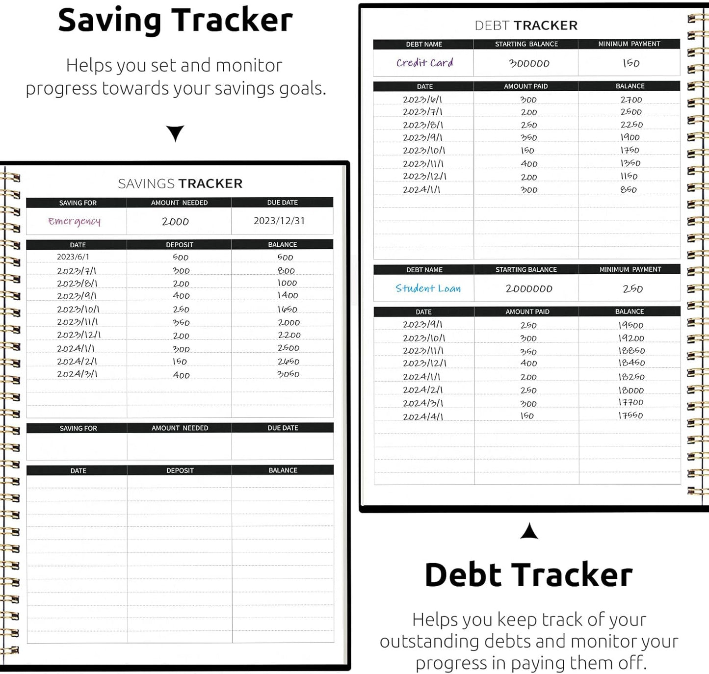 Aesthetic Budget Planner - Monthly Finance Planner with Expense Tracker Notebook, Undated Bill Organizer to Manage Your Finances, Account Book with Colorful Pattern-Crane