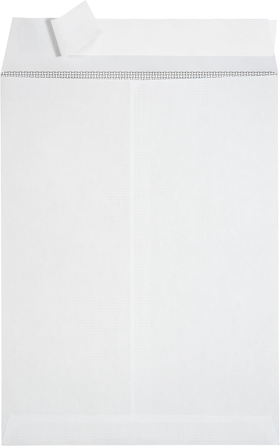 100 9 X 12 Self Seal Security Catalog Envelopes - Designed for Secure Mailing - Securely Holds up to 60 Sheets of Paper with Strong Peel and Seal Flap (100 Envelopes)