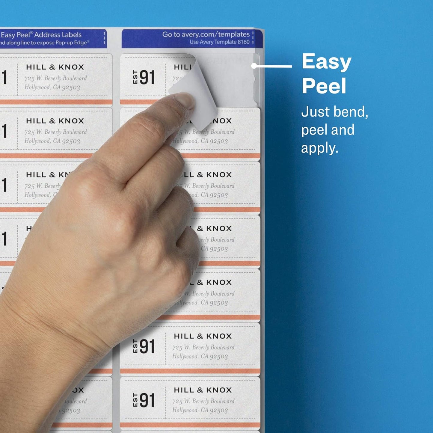 Avery Printable Address Labels for Laser Printers, 1" x 2-5/8", Matte Clear, 300 Blank Mailing Labels (15660)