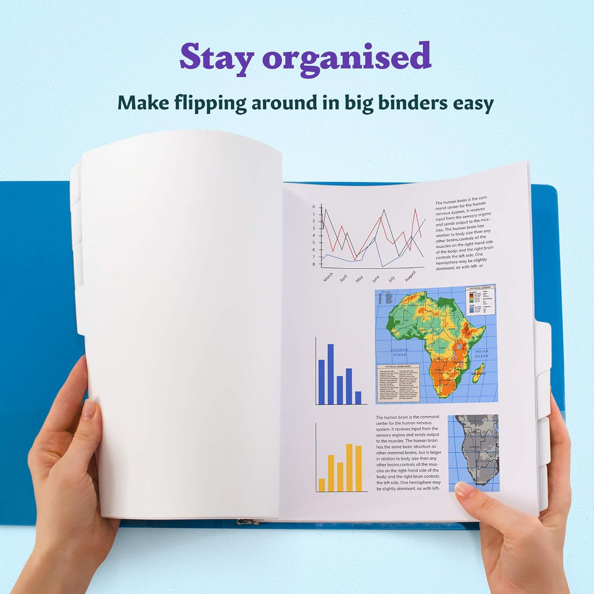 Binder Dividers with Tabs - (Set of 4) x 8-Tab Dividers for 3 Ring Binders, White, Reinforced Edge - Ideal for Keeping Your Documents Neat and Professional