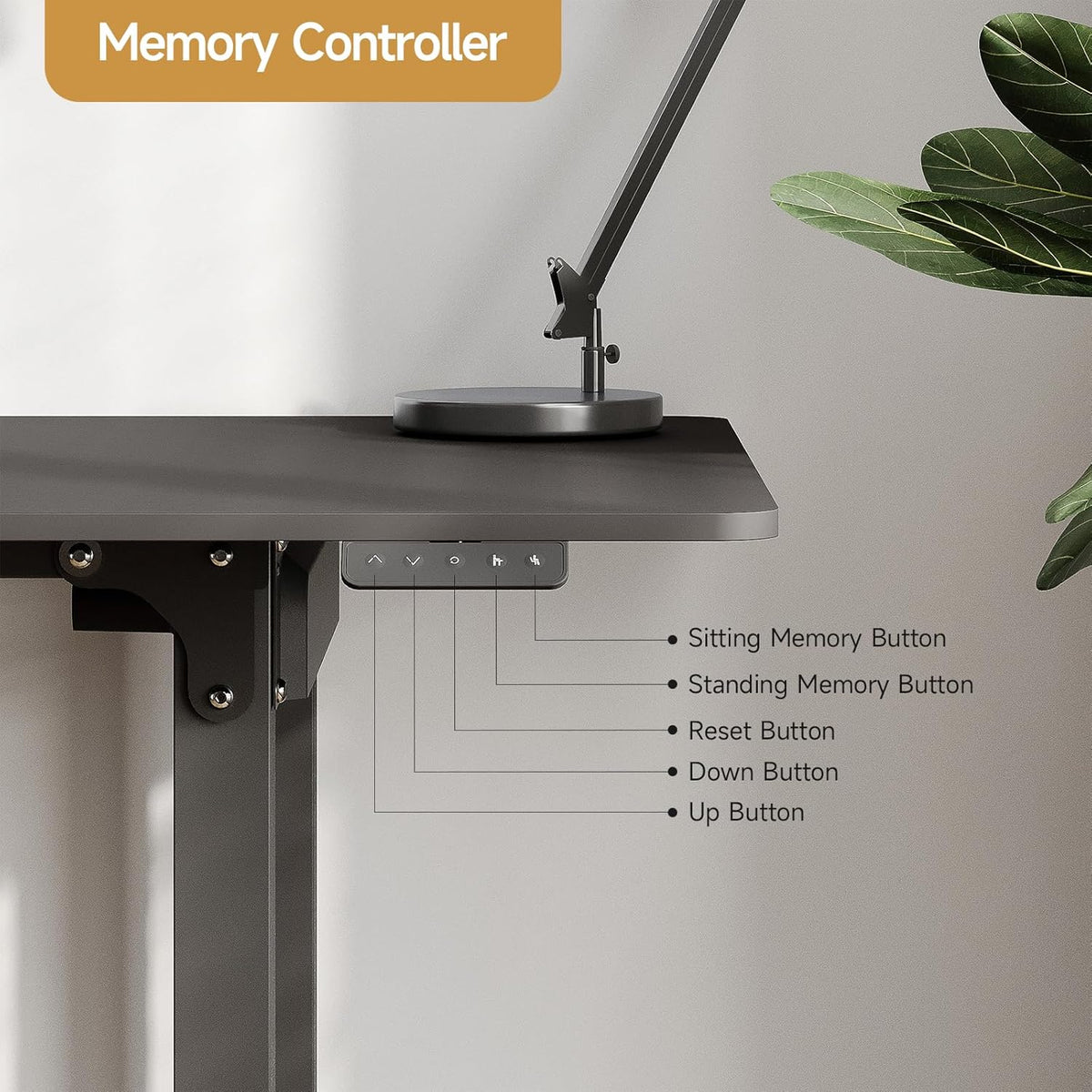 Standing Desk, 71x32 Inches Rectangle Stand Up Desk with 4 Legs, Dual Motor and Memory Controller, Adjustable Height from 28-46 Inches for Home and Computer Workstation, Black